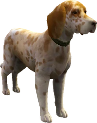 BuckleyBedlington
