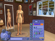 Create A Sim