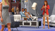 TS3D Screen 4