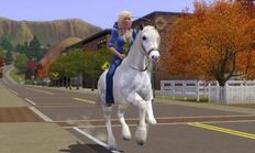 Sim riding horse as a transport