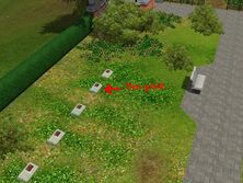 Hrs (8).jpg (171 KB)