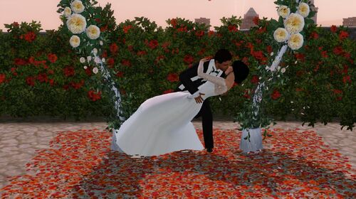 Ceremonia Zaślubin