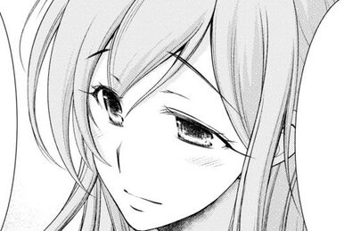 Plunderer' TV Anime Announces Main Staff Members