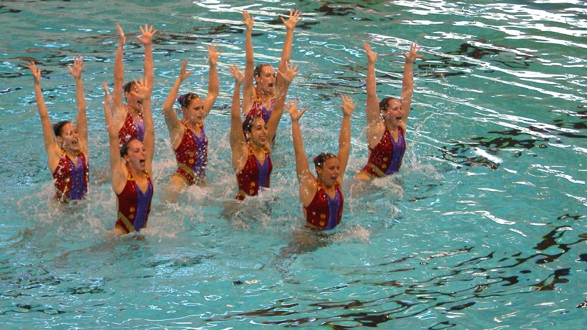 Team Synchronization Project Management Requirements Analysis Wiki