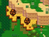 Stark Volcanic Woods
