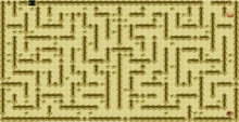 Cryptic Labyrinth