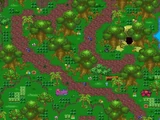 Mysterious Jungle (PMU 7)