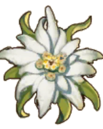 Edelweiss Pocket Pioneers Wiki Fandom