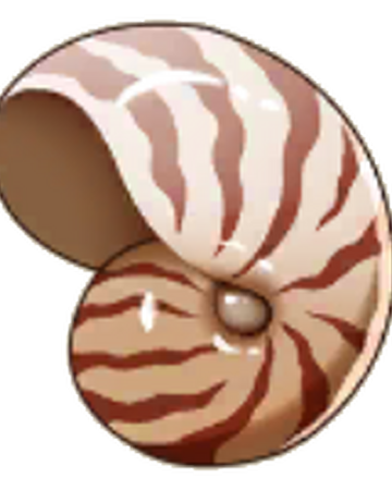 Nautilus Shell Pocket Pioneers Wiki Fandom