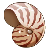 Nautilus Shell Pocket Pioneers Wiki Fandom