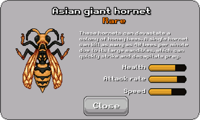 Pokemon Hornet 48