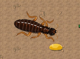 The Termite King - MMO Wiki