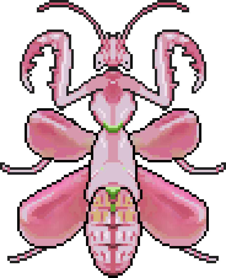 Orchid Mantis PocketAnts Wiki Fandom