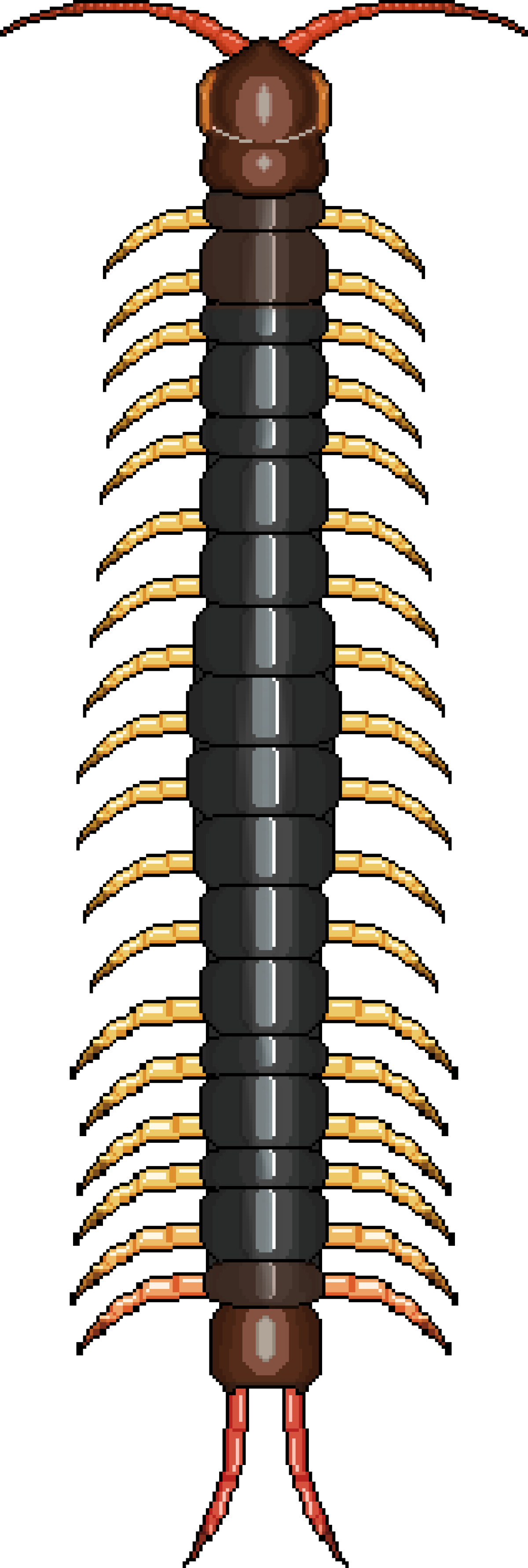 Centipede PocketAnts Wiki Fandom