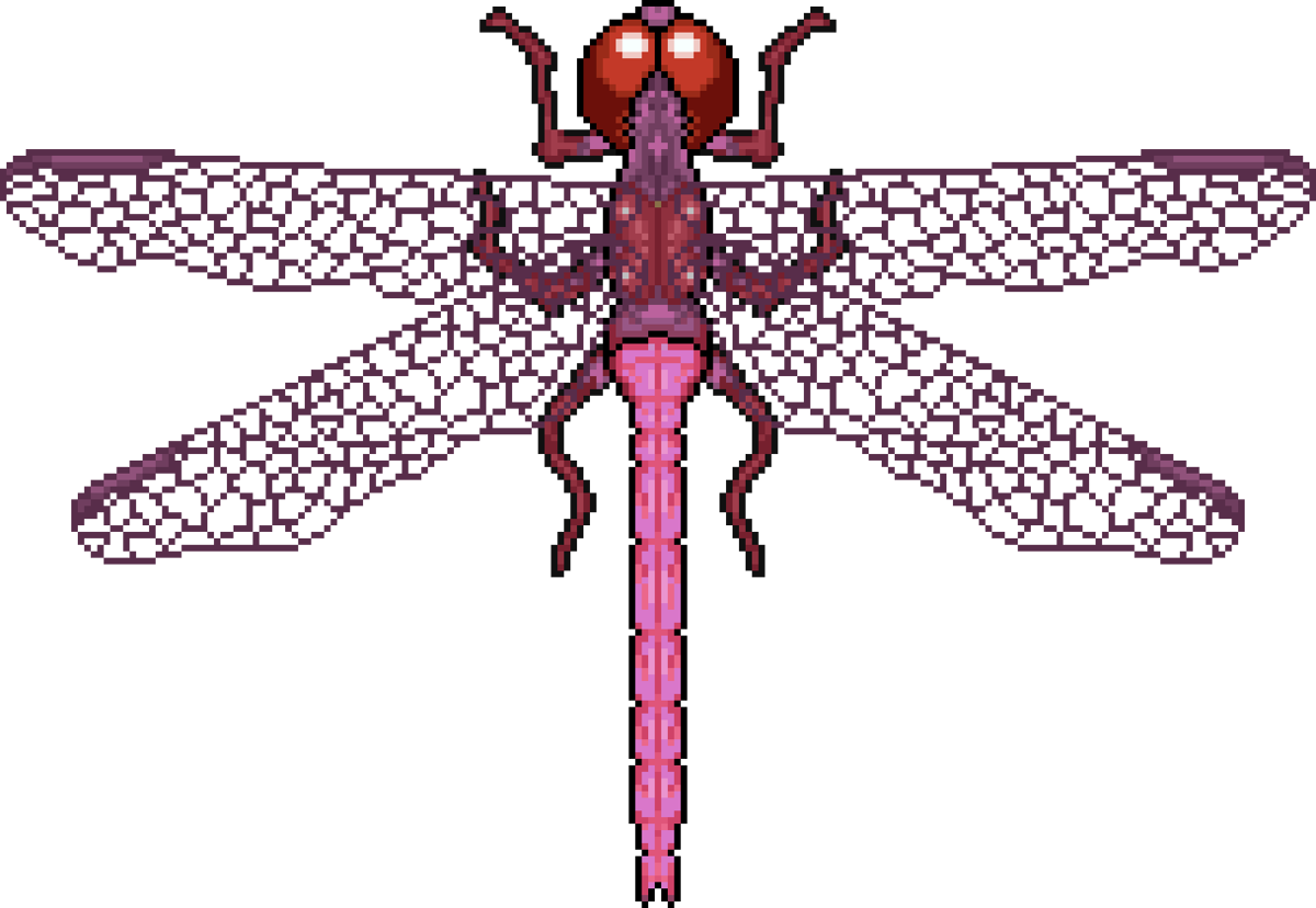 Roseate Skimmer Dragonfly PocketAnts Wiki Fandom