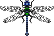 Dragonfly transparent