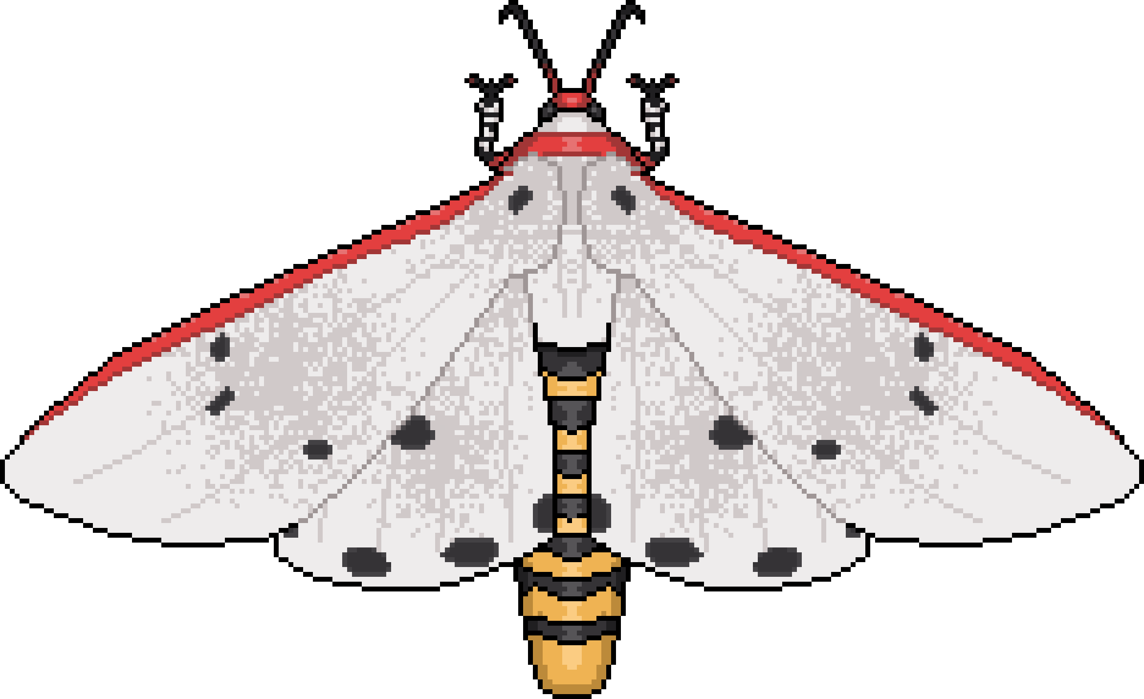 https://static.wikia.nocookie.net/pocketants/images/b/b8/Red_Costate_Tiger_Moth_sprite.png/revision/latest?cb=20221216030939