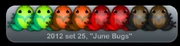 June Bugs