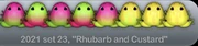Rhubarb and Custard