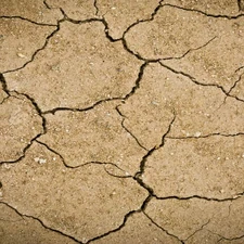 Cracked Earth