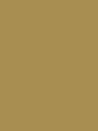 BeigeHex.png (120 bytes) Hex Color
