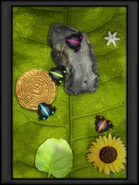 A Black Calliana Cesti used for "Band Together".