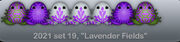 LavenderFields