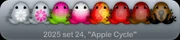 Apple Cycle