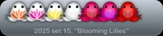 Blooming Lilies