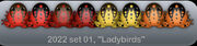 Ladybirds