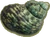 Pf scenery small snail shell