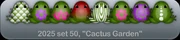Cactus Garden