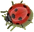Pf scenery ladybug