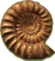 Pf scenery ammonite