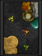 A Lime Folium Mixtus used for "Citrus Mixtus".