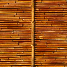 Bamboo