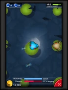 I find another Anura then breed with it.