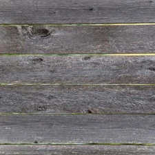 Picnic Table