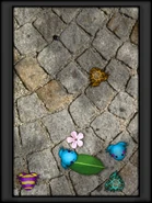 I did this again and again. These frogs have hatched after I came an hour later.