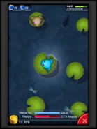 I do this twice. I screw up sometimes.