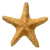Pf scenery starfish cutout