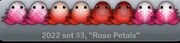 Rose Petals