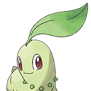 チコリータ ポケモン Wiki Fandom チコリータ ポケモン Wiki Fandom