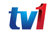 TV1 Logo 2011