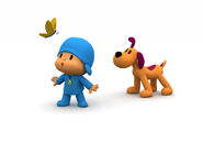 Pocoyo hush