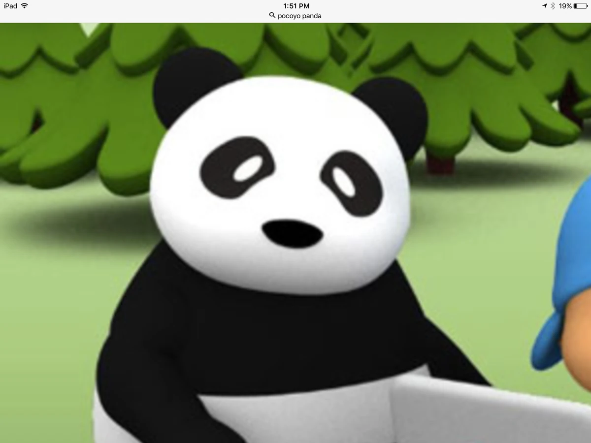Panda | Pocoyo Wiki | Fandom, image size:1200x900
