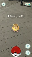 Das Pokémon mit Augmented Reality