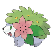 Shaymin (Landform)-Artwork