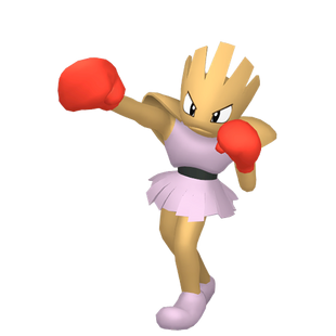 Nockchan - Pokémon Wiki - Schnapp' sie dir alle!