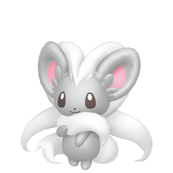 Picochilla Pokemon Wiki Fandom